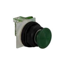 9001SKR4GH5 - PUSHBUTTON 600VAC 10AMP 30MM SK +OPTIONS