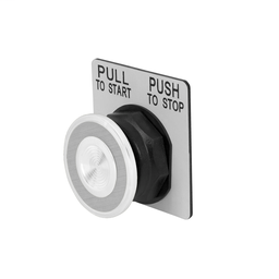 9001SKR8P38W - PUSH BUTTON 600VAC 10A 30MM T-SK