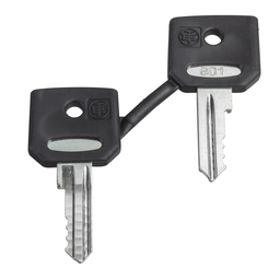 ZBG3131A - Set of 2 keys 3131A