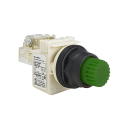 9001SK2L7G20H13 - PUSHBUTTON 600VAC 10AMP 30MM SK +OPTIONS