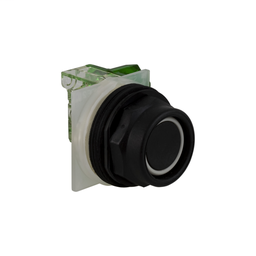 9001SKR2BH2 - PUSHBUTTON 600VAC 10AMP 30MM SK +OPTIONS