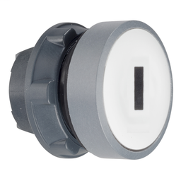 ZB5AA1C0 - White flush pushbutton head colour plated grey