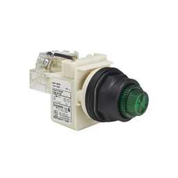 9001SKT38G31 - PILOT LIGHT 120V 30MM SK +OPTIONS
