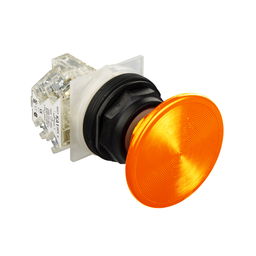 9001SKR25S - PUSH BUTTON 600VAC 10A 30MM T-SK