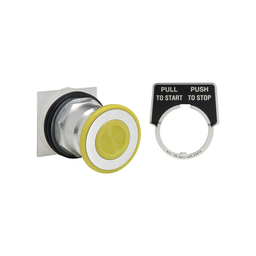 9001KR8P38YH25 - PUSH BUTTON 600VAC 10A 30MM T-K