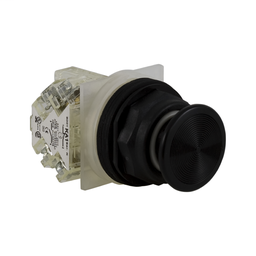 9001SKR4BH13 - PUSHBUTTON 600VAC 10AMP 30MM SK +OPTIONS