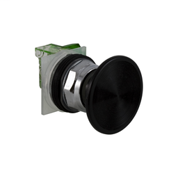 9001KR25BH2 - PUSH BUTTON 600VAC 10A 30MM T-K