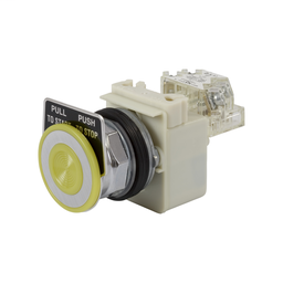 9001KR9P1YH13 - PUSH BUTTON 600VAC 10A 30MM T-K