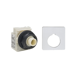 9001SKR8P38LGH25 - PUSHBUTTON 120V 30MM SK +OPTIONS