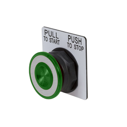 9001SKR8P5RH25 - PUSHBUTTON 480VAC 30MM SK +OPTIONS