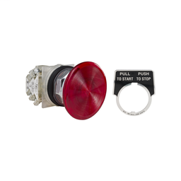 9001KR9R21H13 - PUSH BUTTON 600VAC 10A 30MM T-K