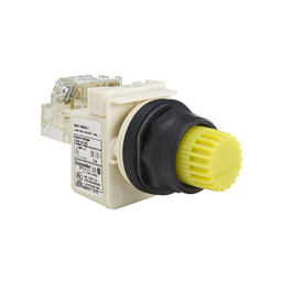 9001SK2L38LYYH13 - PUSHBUTTON 600VAC 10AMP 30MM SK +OPTIONS