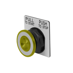9001SKR8P38LYA - PUSHBUTTON 120V 30MM SK +OPTIONS