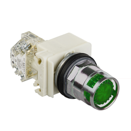 9001K3L35GH2 - PUSH BUTTON 600VAC 10A 30MM T-K