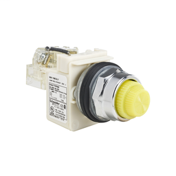 9001KT35LYY31 - PILOT LIGHT 120VAC 30MM TYPE K +OPTIONS
