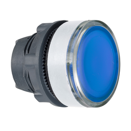 ZB5AA68C1 - Blue flush pushbutton head for legend insertion cp white