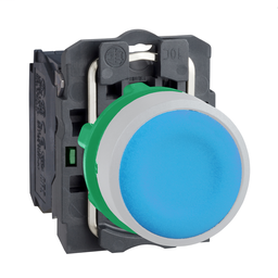 XB5AA61C1 - Blue flush pushbutton 1NO screw clamp cp white