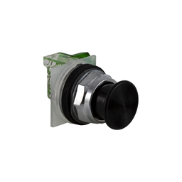 9001KR24BH5 - PUSH BUTTON 600VAC 10A 30MM T-K