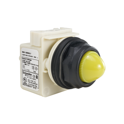 9001SKP38LYY9 - PILOT LIGHT 120V 30MM SK +OPTIONS