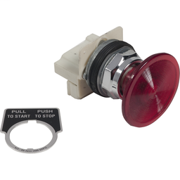9001KR9P58R21 - PUSHBUTTON OPERATOR 30MM TYPE K +OPTIONS