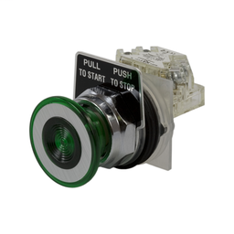 9001KR9GH13 - PUSH BUTTON 600VAC 10A 30MM T-K