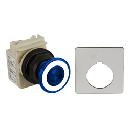 9001SKR9P35L - PUSHBUTTON 28V 30MM SK +OPTIONS
