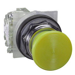 9001KR24YH7 - PUSH BUTTON 600VAC 10A 30MM T-K