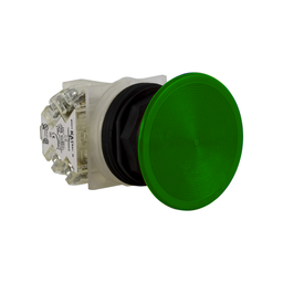 9001SKR5GH13 - PUSHBUTTON 600VAC 10AMP 30MM SK +OPTIONS