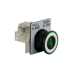 9001SKR9P38GH13 - PUSHBUTTON 120V 30MM SK +OPTIONS