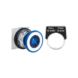 9001KR9P38LRR05 - PUSHBUTTON OPERATOR 30MM TYPE K +OPTIONS
