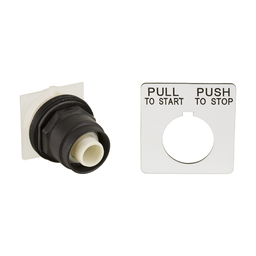 9001SKR8H25 - PUSHBUTTON 600VAC 10AMP 30MM SK +OPTIONS