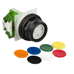 9001SKR2UH5 - PUSHBUTTON 600VAC 10AMP 30MM SK +OPTIONS
