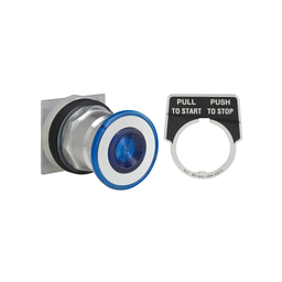 9001KR8P1LGGH25 - PUSH BUTTON 600VAC 10A 30MM T-K