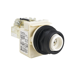 9001SKT35LW - PILOT LIGHT 28V 30MM SK +OPTIONS