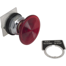 9001KR9R21 - PUSHBUTTON OPERATOR 30MM TYPE K +OPTIONS