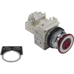 9001KR9P1LRRH13 - PUSH BUTTON 600VAC 10A 30MM T-K