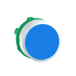 ZB5AA6C1 - Blue flush pushbutton head colour plated white