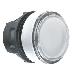 ZB5AA18C1 - White flush pushbutton head for legend insertion cp white