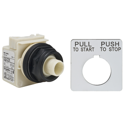 9001SKR9P35 - PUSHBUTTON 28V 30MM SK +OPTIONS