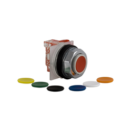 9001KR3UH6 - PUSH BUTTON 600VAC 10A 30MM T-K