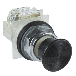 9001KR24BH2 - PUSH BUTTON 600VAC 10A 30MM T-K