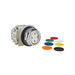 9001KR1UH2 - PUSH BUTTON 600VAC 10A 30MM T-K