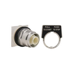 9001KR8LH25 - PUSH BUTTON 600VAC 10A 30MM T-K