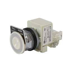 9001KR9P1WH13 - PUSH BUTTON 600VAC 10A 30MM T-K