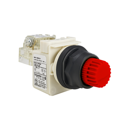 9001SK2L38R21H13 - PUSHBUTTON 600VAC 10AMP 30MM SK +OPTIONS