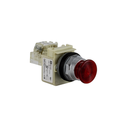 9001K2L1R20H13 - PUSH BUTTON 600VAC 10A 30MM T-K