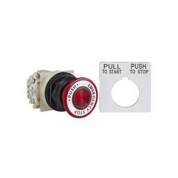 9001SKR9R05H13 - PUSHBUTTON 600VAC 10AMP 30MM SK +OPTIONS