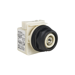 9001SKP38LW - PILOT LIGHT 120V 30MM SK + OPTIONS