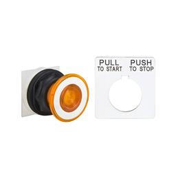 9001SKR9AH13 - PUSH BUTTON 600VAC 10A 30MM T-SK