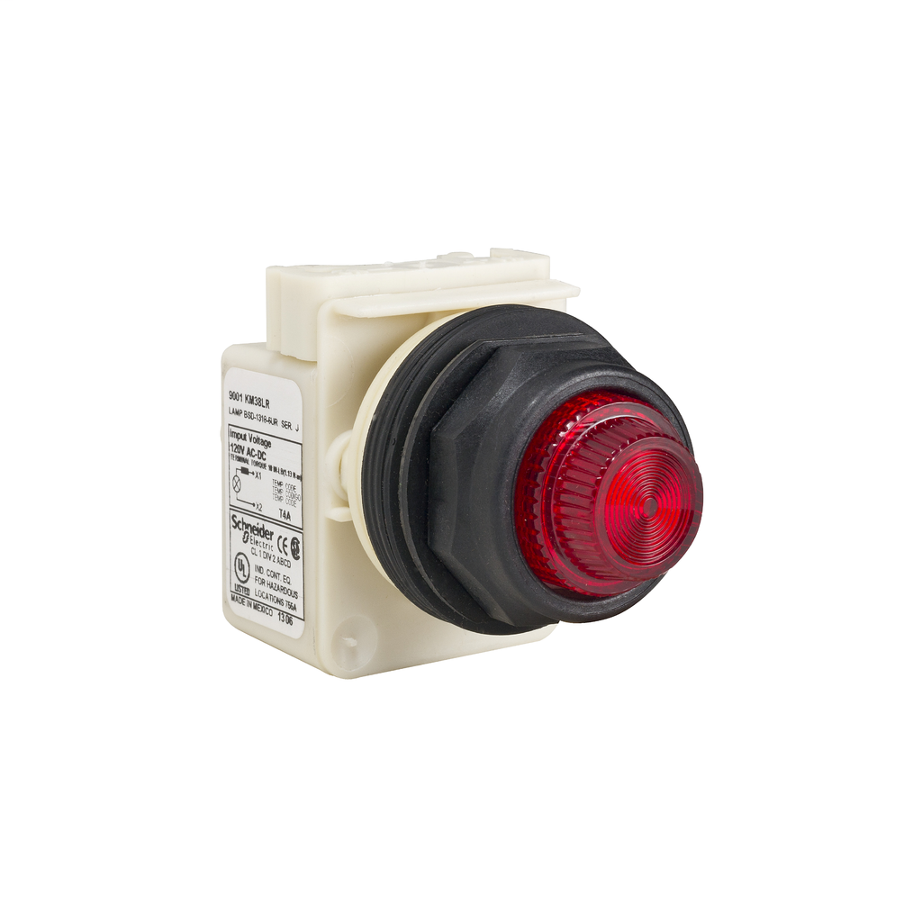 Product image for Square D 9001SKTR38R31 30 mm 120 VAC/VDC Red Lens Plastic Bezel Remote Test Round Pilot Light